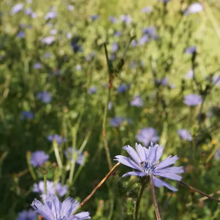 Parque de Campismo Plein Air Camping- Privatisation Possible *