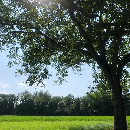 Plein Air Camping- Privatisation Possible