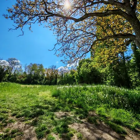 Parque de Campismo Plein Air Camping- Privatisation Possible *